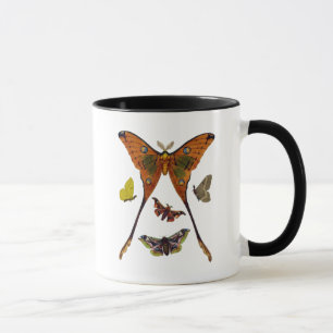Moth Plate 2 Tasse