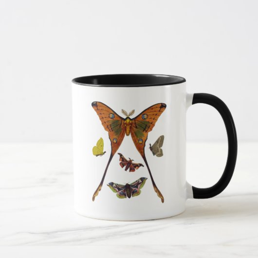Moth Plate 2 Tasse (Rechts)