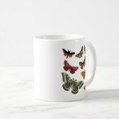 Moth Plate 3 Kaffeetasse (VorderseiteRechts)