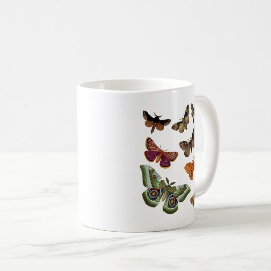 Moth Plate 3 Kaffeetasse (VorderseiteRechts)