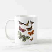 Moth Plate 3 Kaffeetasse (Links)