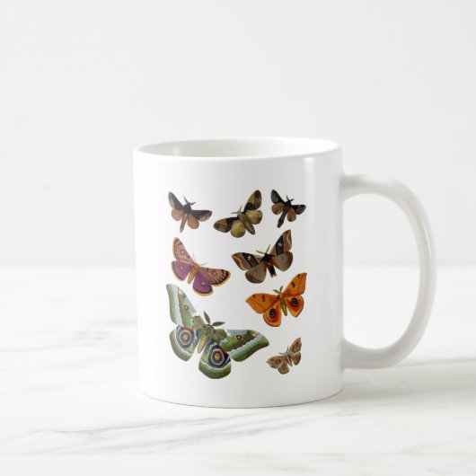 Moth Plate 3 Kaffeetasse (Rechts)