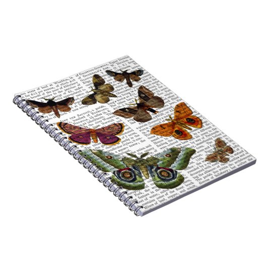 Moth Plate 3 Notizblock (Rechte Seite)