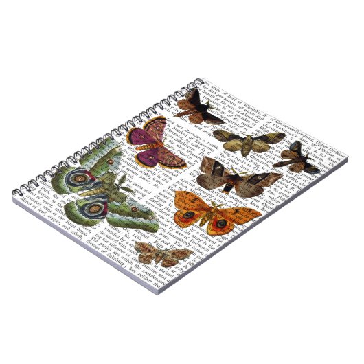 Moth Plate 3 Notizblock (Linke Seite)