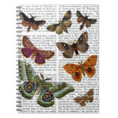 Moth Plate 3 Notizblock (Vorderseite)