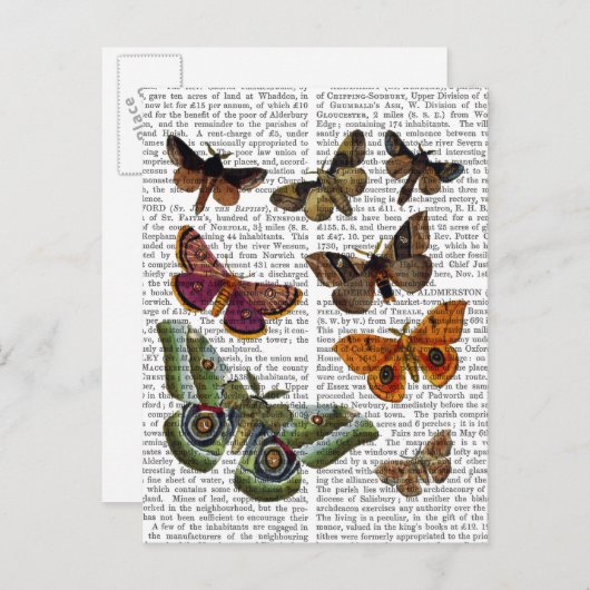 Moth Plate 3 Postkarte (Vorne/Hinten)