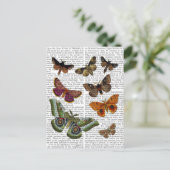 Moth Plate 3 Postkarte (Stehend Vorderseite)