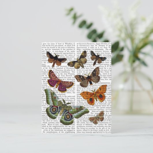 Moth Plate 3 Postkarte (Stehend Vorderseite)