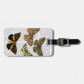 Moth Plate 4 Gepäckanhänger (Vorderseite horizontal)