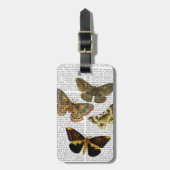 Moth Plate 4 Gepäckanhänger (Vorderseite vertikal)