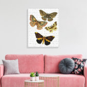 Moth Plate 4 Leinwanddruck (Insitu (Wohnzimmer))