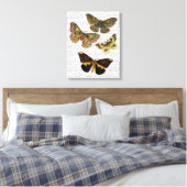 Moth Plate 4 Leinwanddruck (Insitu (Schlafzimmer))
