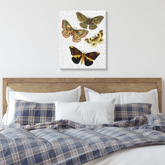 Moth Plate 4 Leinwanddruck (Insitu (Schlafzimmer))