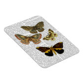 Moth Plate 4 Magnet (Rechte Seite)