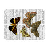 Moth Plate 4 Magnet (Horizontal)
