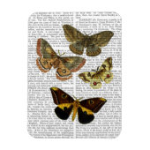 Moth Plate 4 Magnet (Vertikal)