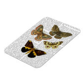 Moth Plate 4 Magnet (Linke Seite)