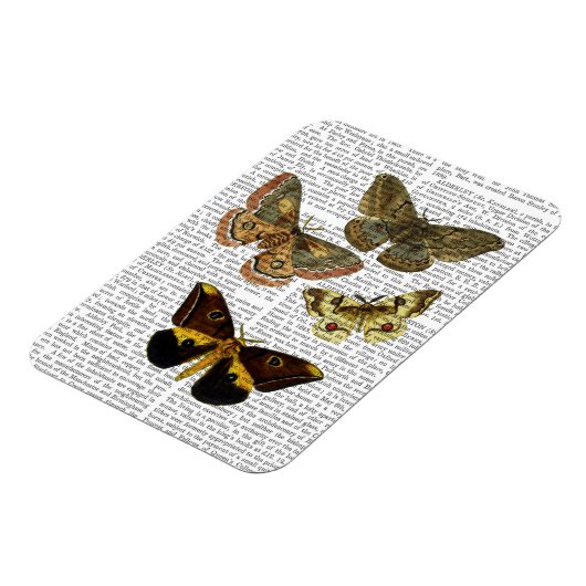 Moth Plate 4 Magnet (Linke Seite)