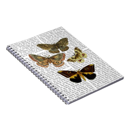Moth Plate 4 Notizblock (Rechte Seite)