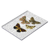 Moth Plate 4 Notizblock (Linke Seite)