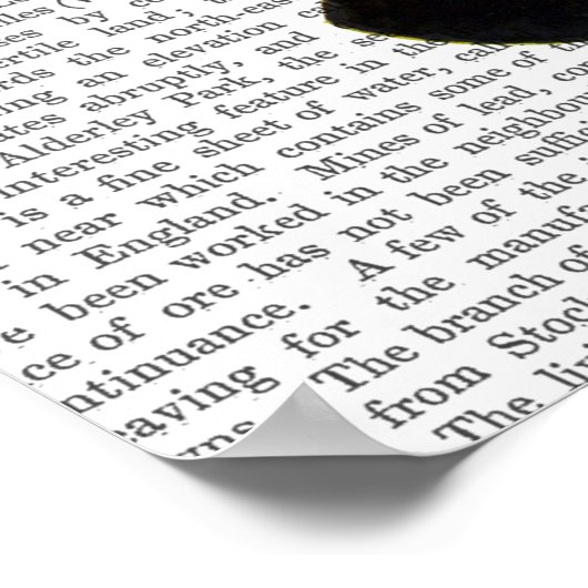 Moth Plate 4 Poster (Ecke)