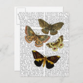 Moth Plate 4 Postkarte (Vorne/Hinten)
