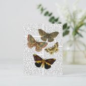 Moth Plate 4 Postkarte (Stehend Vorderseite)