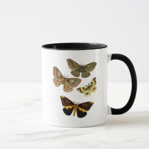 Moth Plate 4 Tasse