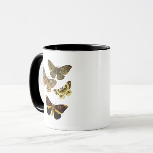 Moth Plate 4 Tasse (Vorderseite Links)