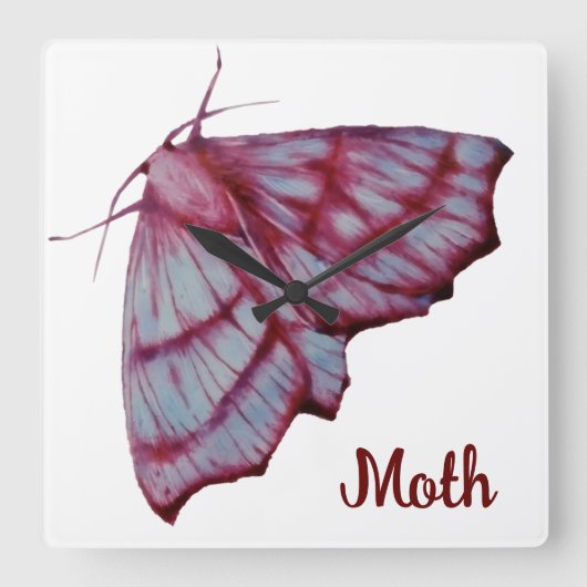Moth Quadratische Wanduhr (Vorderseite)
