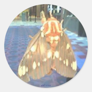 Moth Runder Aufkleber