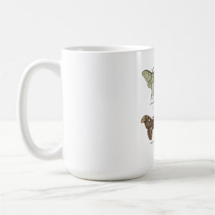 Moth-Sammlung Vintage Entomologie Dark Cottagecore Kaffeetasse