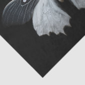 Moth Seidenpapier (Ausschnitt)