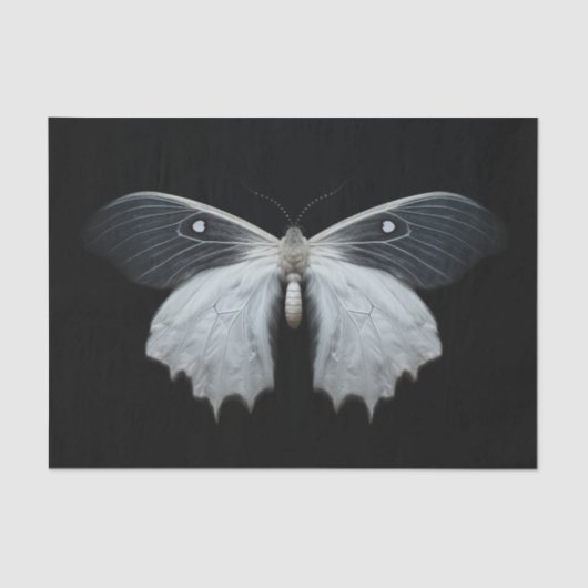 Moth Seidenpapier (Vorderseite)