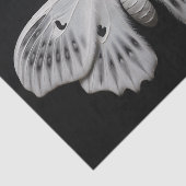 Moth Seidenpapier (Ausschnitt)