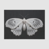 Moth Seidenpapier (Vorderseite)