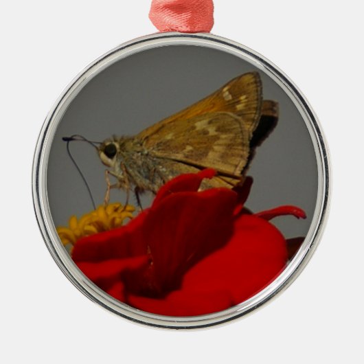 Moth Silbernes Ornament (Vorne)