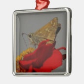 Moth Silbernes Ornament (Links)