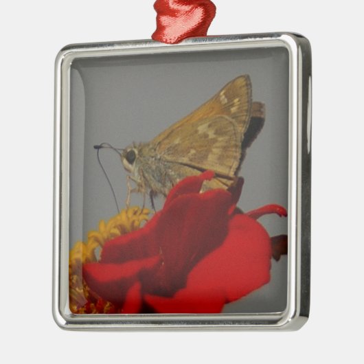 Moth Silbernes Ornament (Links)