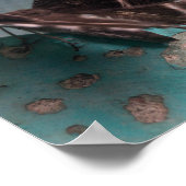 Moth Tropical Frack Poster (Ecke)