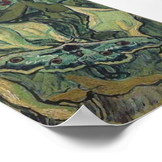 Moth Van Gogh Fine Art Poster (Ecke)