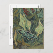 Moth Van Gogh Fine Art Postkarte (Vorne/Hinten)