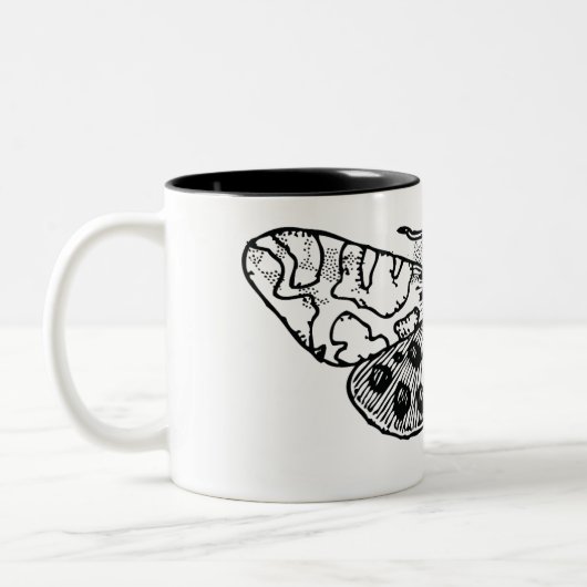 Moth Zweifarbige Tasse (Links)