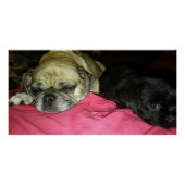 Mother and Son Poster (Vorderseite)