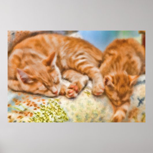 MOTHER CAT KITTEN NICKERCHEN POSTER (Vorne)