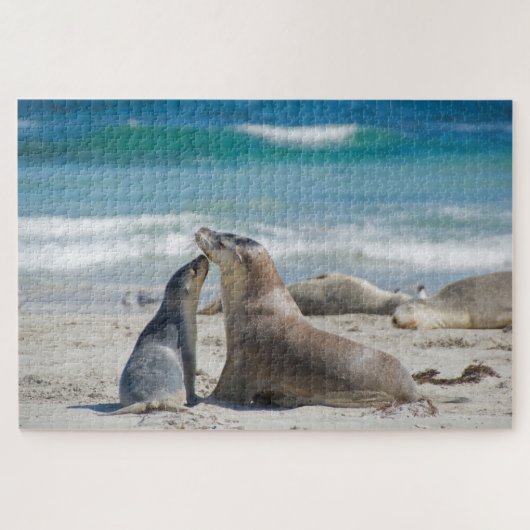Mother & cute baby sealion beach, 1014 pieces puzzle (Horizontal)
