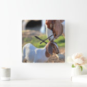 Mother Goat & Baby Quadratische Wanduhr (Zuhause)