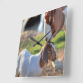 Mother Goat & Baby Quadratische Wanduhr (Winkel)