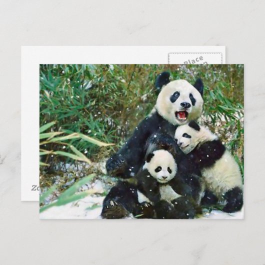 Mother Panda Postkarte (Vorne/Hinten)
