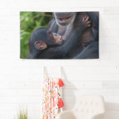 Mother’s Love – Baby Chimpanzee Banner (Insitu)